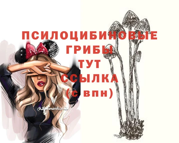 наркотики Алексин